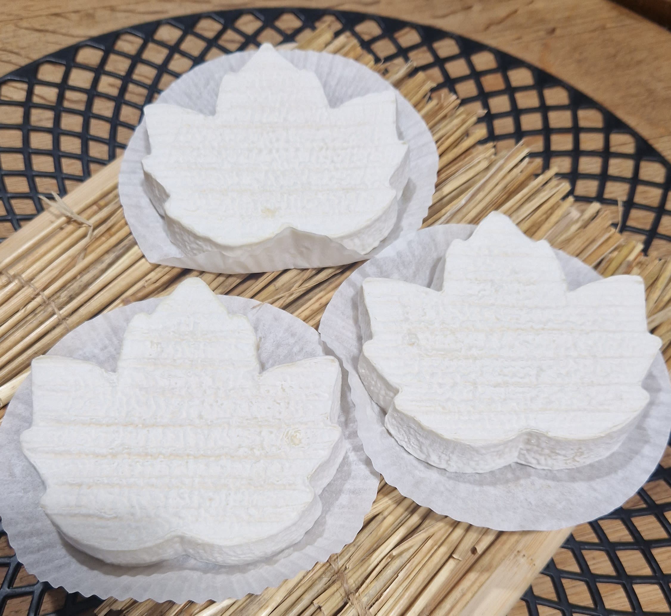 Feuille de chèvre