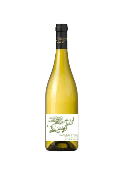 Bouteille de vin blanc sec (sauvignon gris)